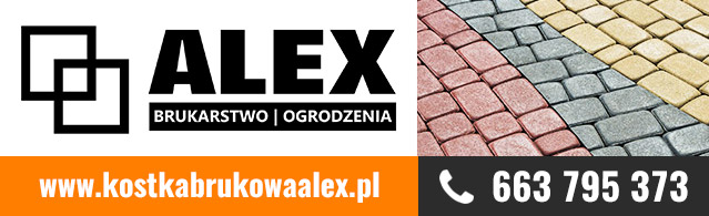Kostka brukowa Alex